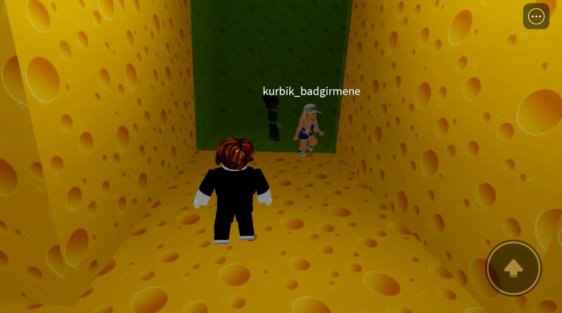 How to beat cheese escape roblox